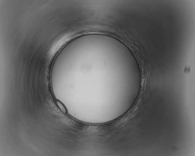 X0000110720341200906121252