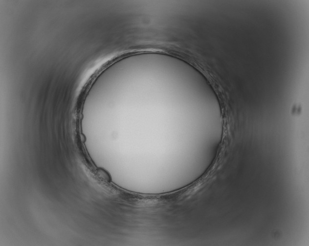 X0000110720342200906121252