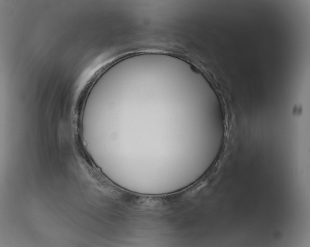 X0000110720343200906121252