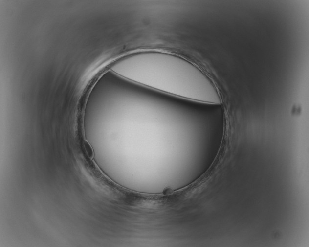 X0000110720344200906121252