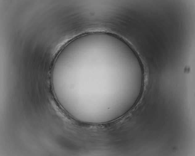 X0000110720345200906121252