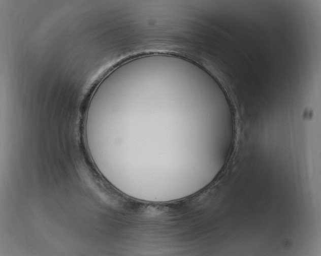 X0000110720346200906121252