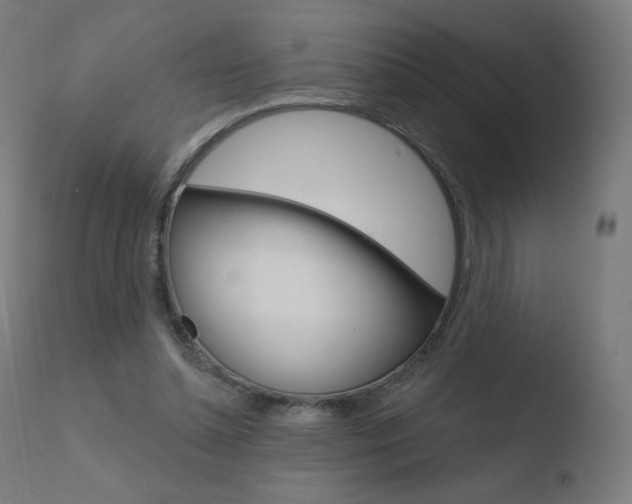 X0000110720348200906121252