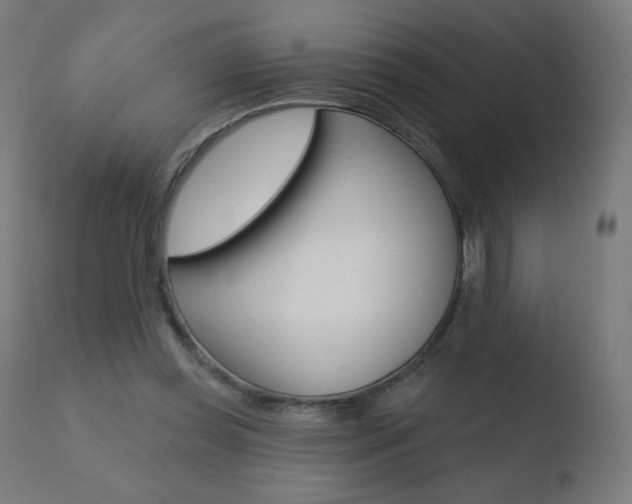 X0000110720349200906121252