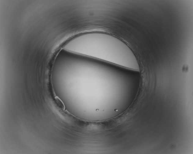 X0000110720350200906121252