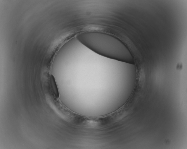 X0000110720352200906121252