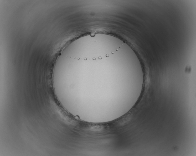 X0000110720353200906121252