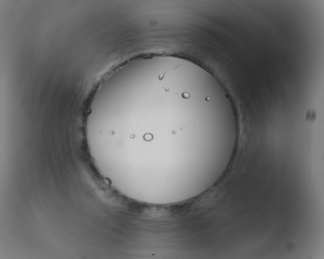 X0000110720354200906121252