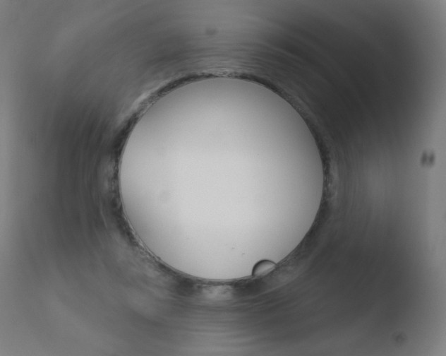 X0000110720355200906121252