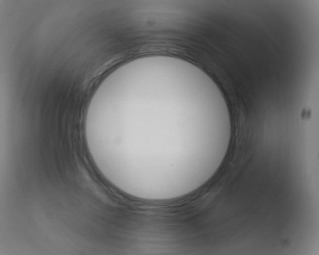 X0000110720356200906121252
