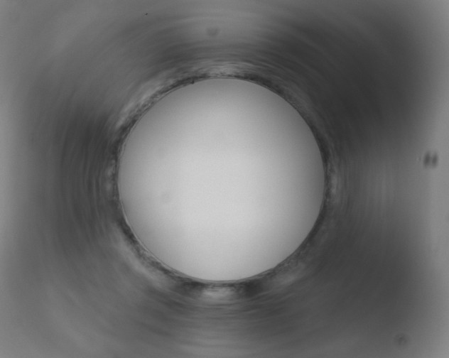X0000110720357200906121252