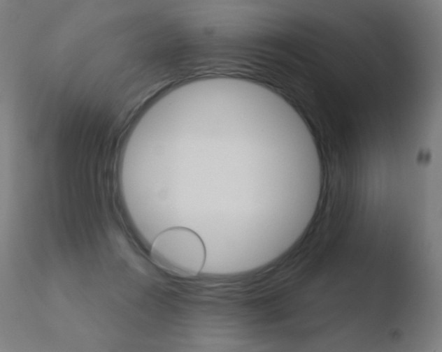 X0000110720360200906121252