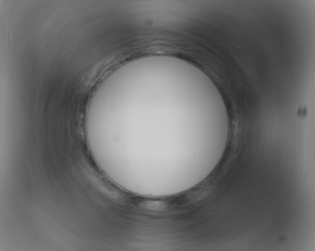 X0000110720361200906121252