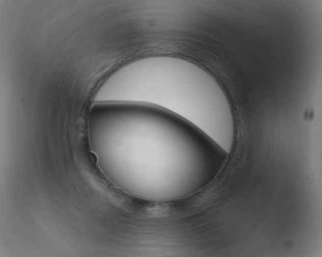 X0000110720362200906121252