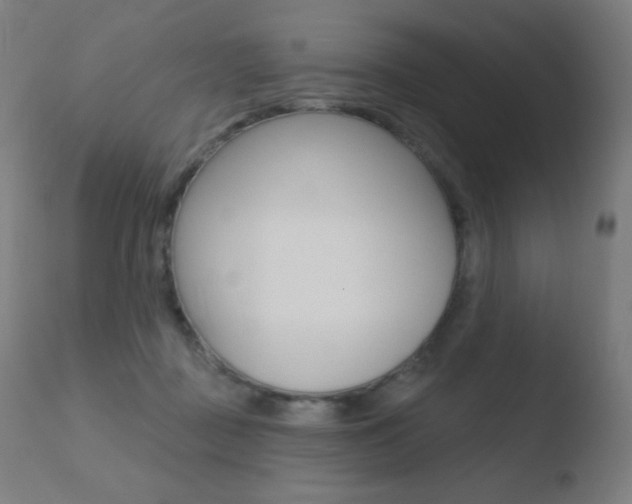 X0000110720363200906121252
