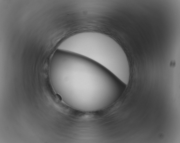 X0000110720364200906121252