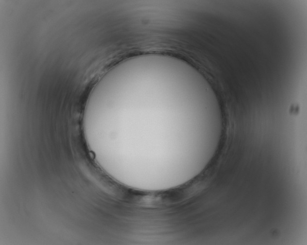 X0000110720366200906121252