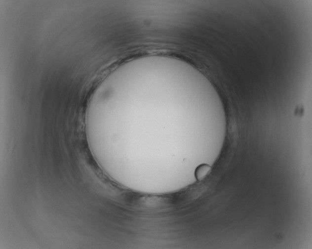 X0000110720367200906121252