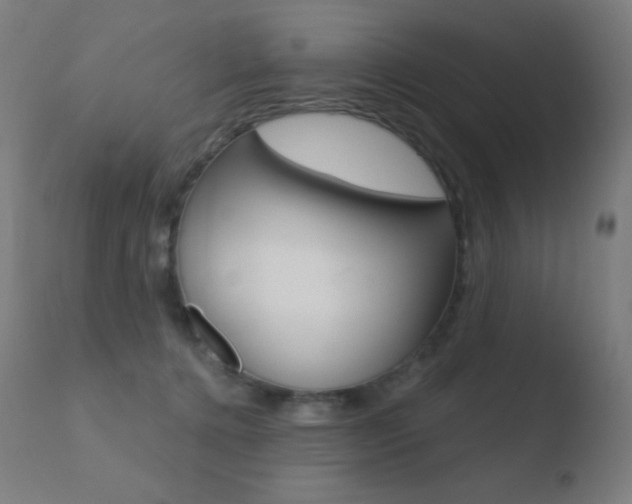 X0000110720368200906121252