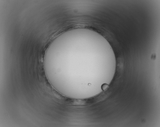 X0000110720369200906121252