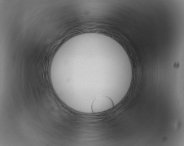 X0000110720372200906121252