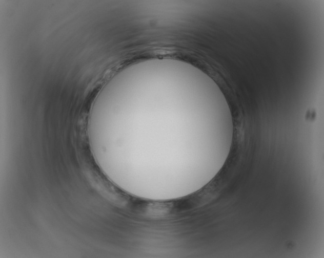 X0000110720373200906121252