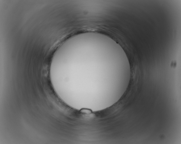 X0000110720374200906121252