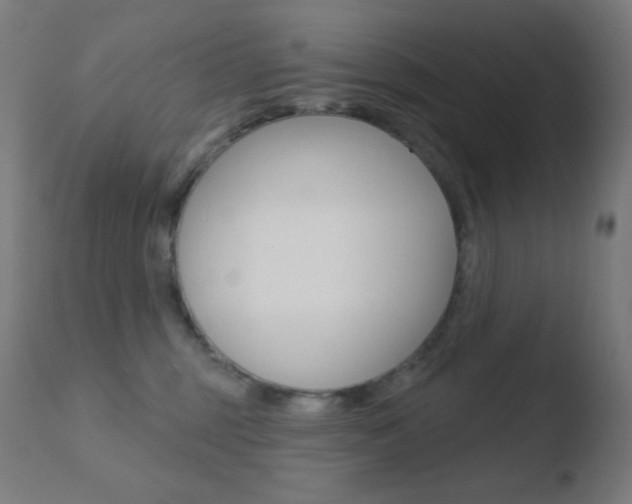 X0000110720375200906121252