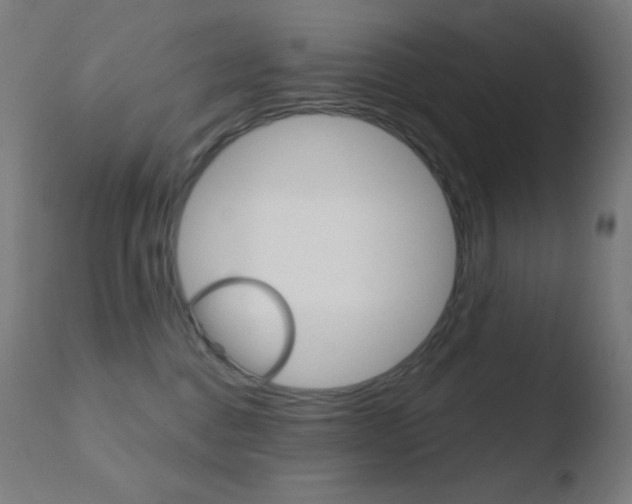 X0000110720376200906121252