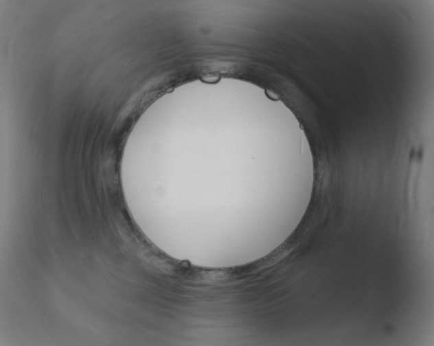 X0000110720377200906121252
