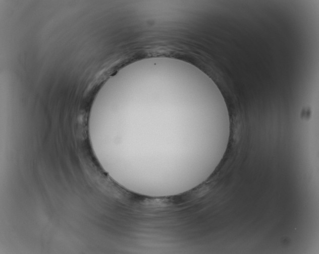 X0000110720378200906121253