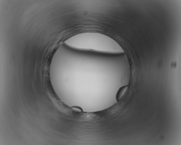 X0000110720379200906121253