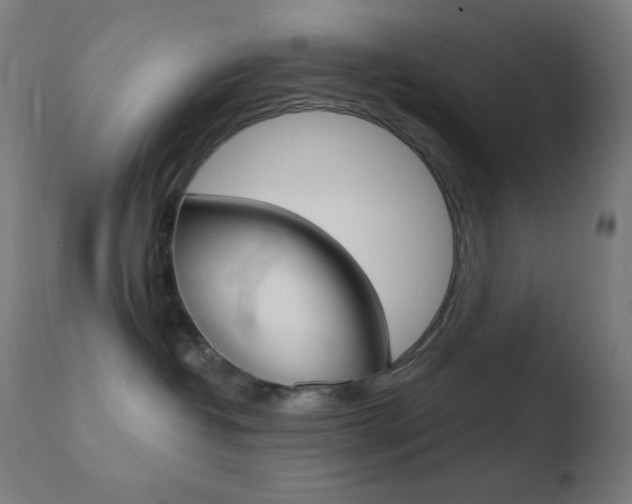 X0000110720382200906121253