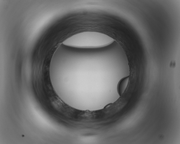 X0000110720383200906121253