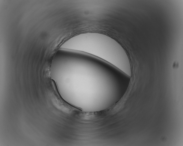 X0000110720384200906121253
