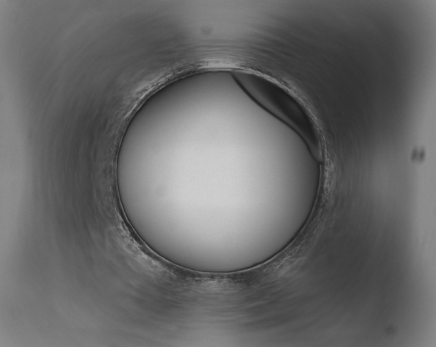 X0000110720385200906121252