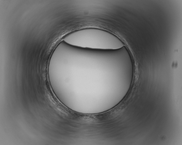 X0000110720386200906121252