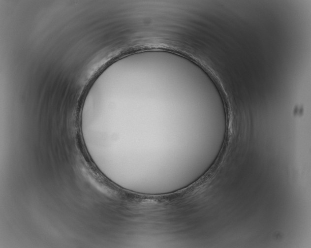 X0000110720390200906121252