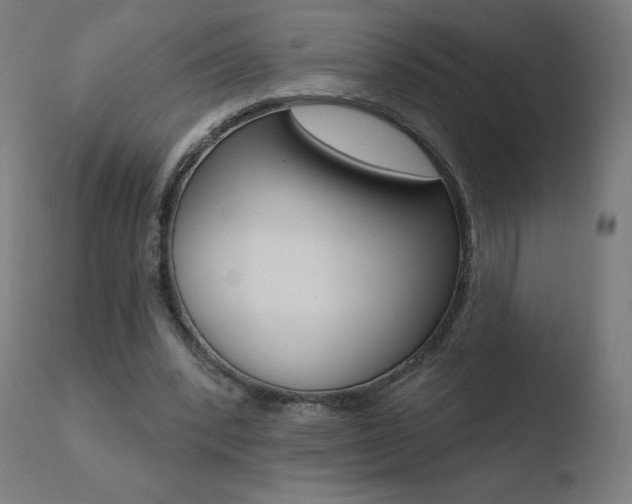 X0000110720392200906121252
