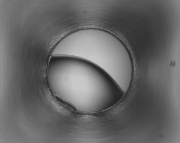 X0000110720393200906121252