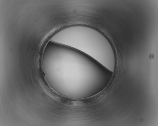 X0000110720395200906121252
