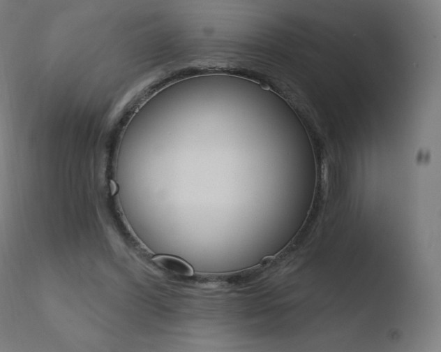 X0000110720396200906121252