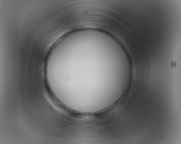 X0000110720398200906121252