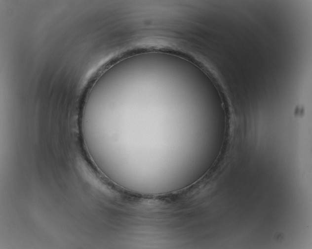 X0000110720399200906121252