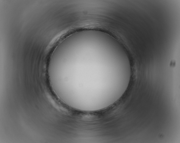 X0000110720400200906121252