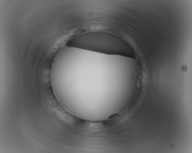 X0000110720401200906121252
