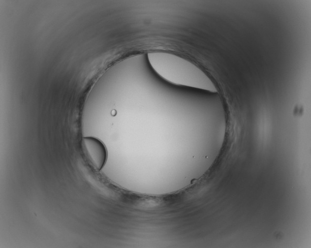 X0000110720402200906121252
