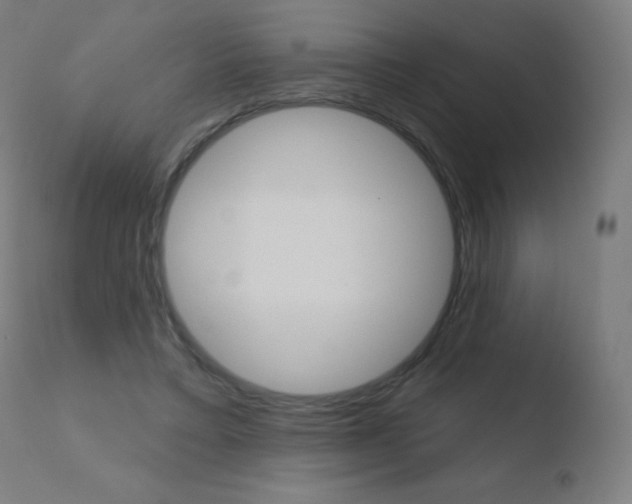 X0000110720403200906121252