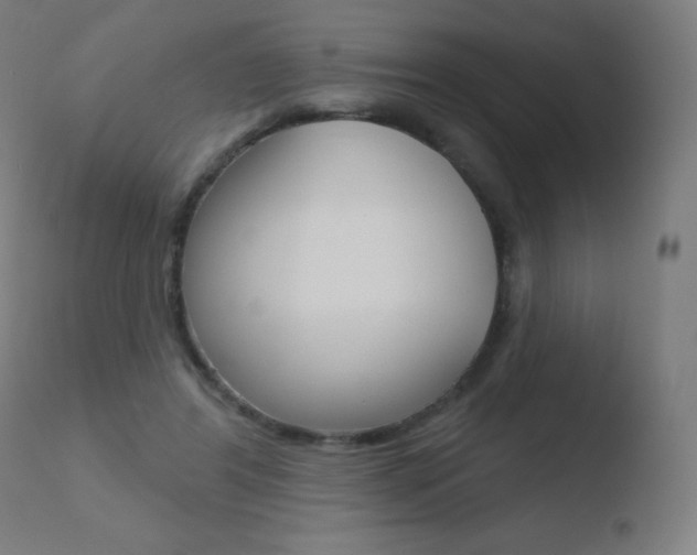 X0000110720404200906121252