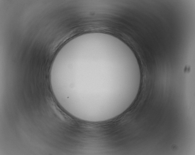 X0000110720405200906121252